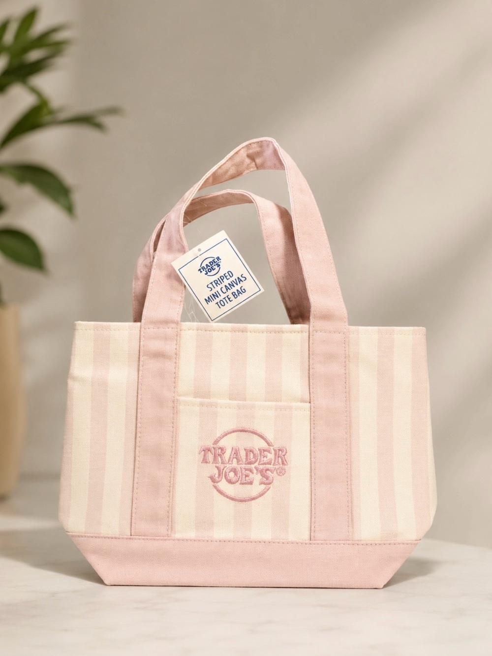 Trader Joe's Pink Striped Mini Canvas Tote